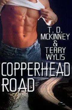 Copperhead Road by T. D. McKinney, book cover