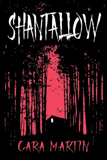 Shantallow by Cara Martin, book cover
