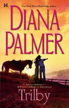 Trilby by Diana Palmer, book cover