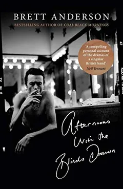 Afternoons with the Blinds Drawn by Brett Anderson, book cover