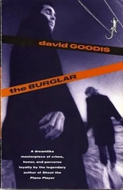 The Burglar by David Goodis, book cover