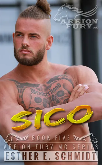 Sico by Esther E Schmidt, book cover