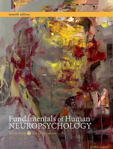 Fundamentals of Human Neuropsychology by Bryan Kolb, book cover