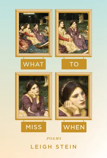 What to Miss When by Leigh Stein, book cover