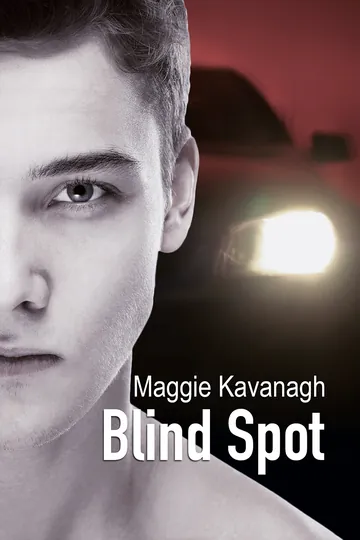 Blind Spot by Maggie Kavanagh, book cover
