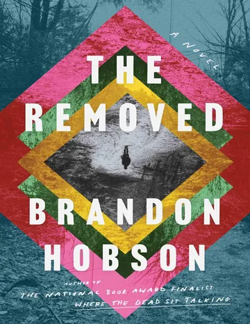 The Removed by Brandon Hobson, book cover