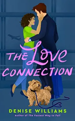 The Love Connection by Denise Williams, book cover