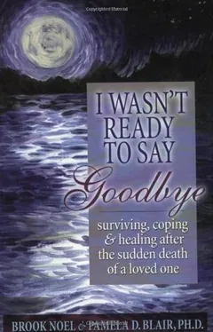 I Wasn't Ready to Say Goodbye by Brook Noel, book cover