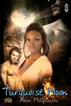 Turquoise Moon by Ann Mayburn, book cover