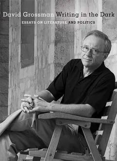 Writing in the Dark by David Grossman, book cover