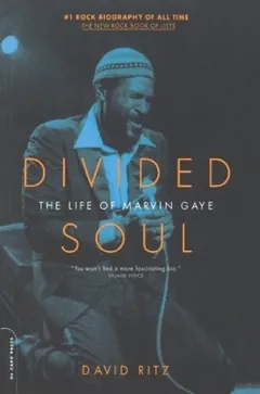 Divided Soul by David Ritz, book cover