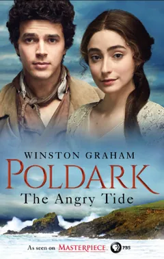 The Angry Tide by Winston Graham, book cover