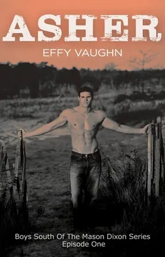 Asher by Effy Vaughn, book cover