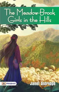 The Meadow-Brook Girls in the Hills The Missing Pilot of the White Mountains - Janet Aldridge