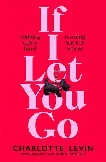 If I Let You Go by Charlotte Levin, book cover