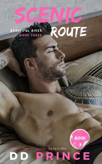 Scenic Route by D.D. Prince, book cover