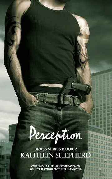 Perception by Kaithlin Shepherd, book cover