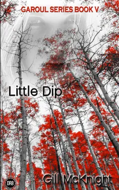 Little Dip by Gill McKnight, book cover