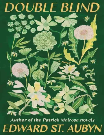 Double Blind by Edward St Aubyn, book cover