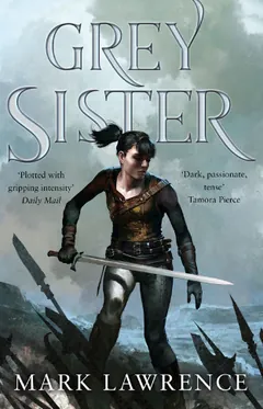 Grey Sister by Mark Lawrence, book cover