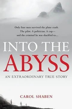 Into the Abyss by Carol Shaben, book cover