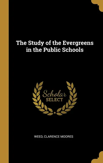The Study of the Evergreens in the Public Schools by Weed Clarence Moores, book cover