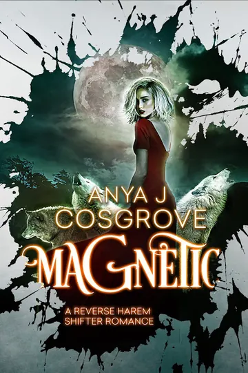 Magnetic by Anya J Cosgrove, book cover