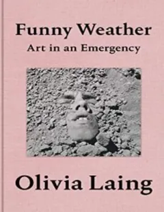 Funny Weather: Art in an Emergency - Olivia Laing