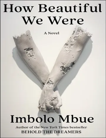How Beautiful We Were by Imbolo Mbue, book cover