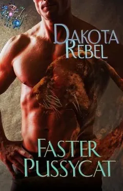 Faster Pussycat by Dakota Rebel, book cover