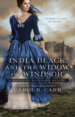 India Black and the Widow of Windsor by Carol K. Carr, book cover
