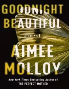 Goodnight Beautiful by Aimee Molloy, book cover