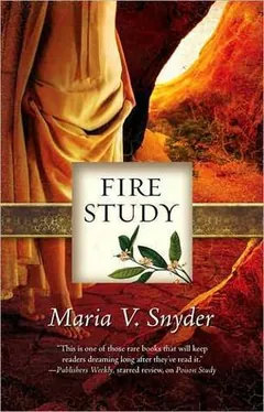 Fire Study by Maria V. Snyder, book cover