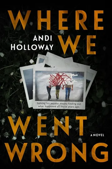 Where We Went Wrong by Andi Holloway, book cover