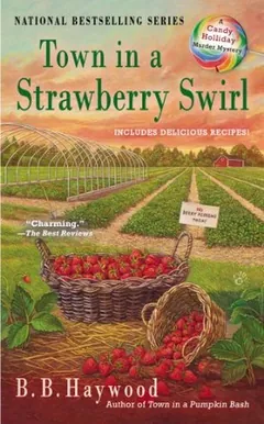 Town in a Strawberry Swirl by B. B. Haywood, book cover