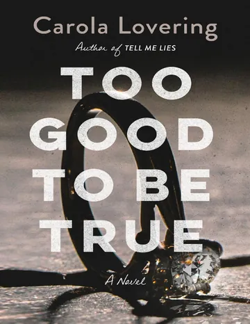 Too Good to Be True by Carola Lovering, book cover