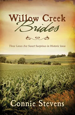 Brides of Iowa by Connie Stevens, book cover