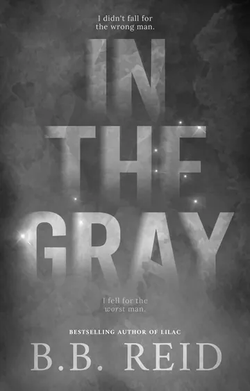 In the Gray by B.B. Reid, book cover