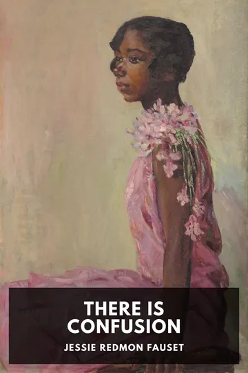 There Is Confusion by Jessie Redmon Fauset, book cover