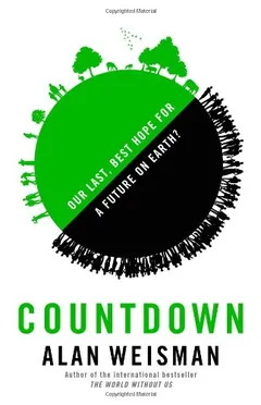 Countdown by Alan Weisman, book cover