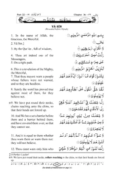 Surah Al Yaseen by The Holy Quran, book cover