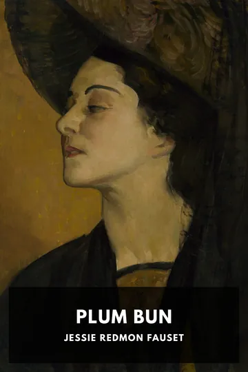 Plum Bun by Jessie Redmon Fauset, book cover