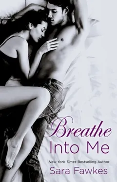 Breathe into Me by Sara Fawkes, book cover
