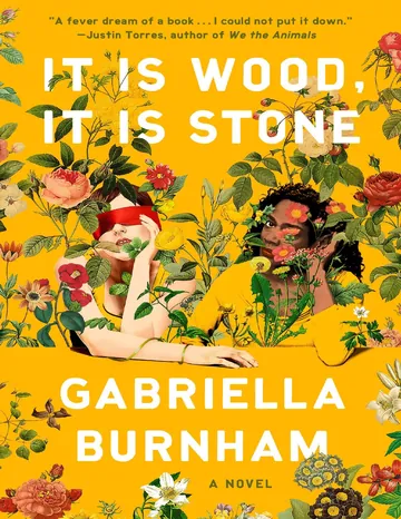 It Is Wood, It Is Stone by Gabriella Burnham, book cover