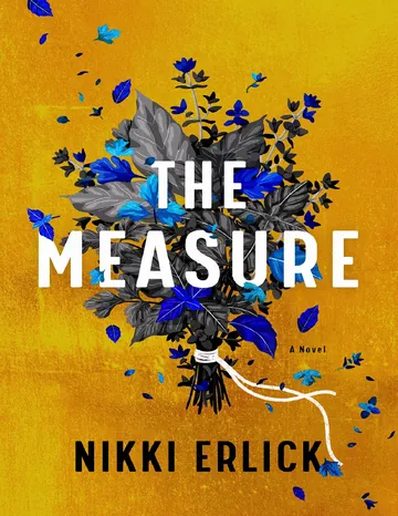 The Measure by Nikki Erlick, book cover