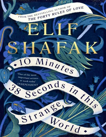 10 Minutes 38 Seconds in This Strange World by Elif Shafak, book cover