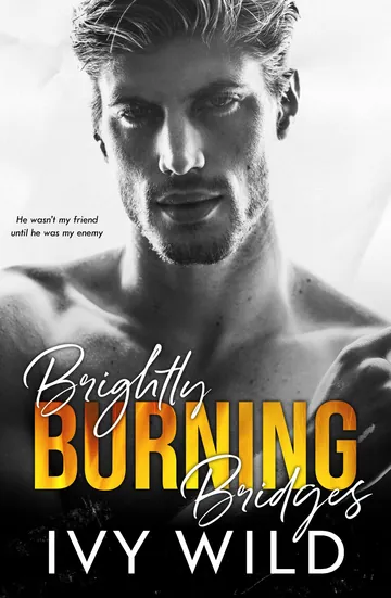 Brightly Burning Bridges by Ivy Wild, book cover