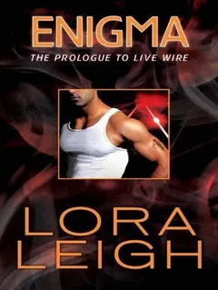 Enigma by Lora Leigh, book cover