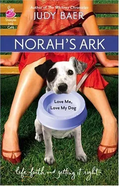 Norah's Ark by Judy Baer, book cover