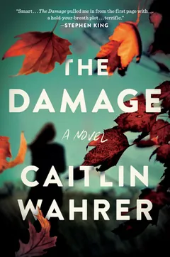 The Damage by Caitlin Wahrer, book cover